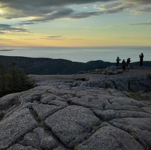 Meet your Posher, Laila